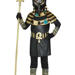 Anubis Costume For Kid's