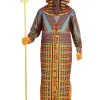 Adult King Tut Ancient Sarcophagus Costume