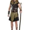 Ancient Pharaoh Plus Size Costume -Egyptian Gifts Shop plus size ancient pharaoh costume