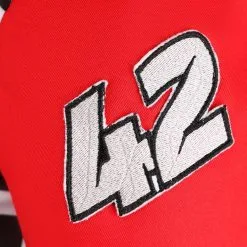 Plus Size Swift Racer Costume For Men -Egyptian Gifts Shop plus size mens swift racer costume alt 5