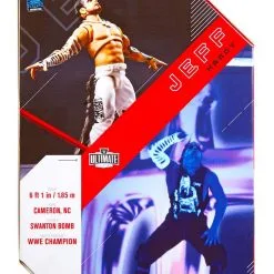 WWE Ultimate Edition Jeff Hardy Wave 14 Action Figure 15 WWE Ultimate Edition Jeff Hardy Wave 14 Action Figure -Egyptian Gifts Shop wwe ultimate edition wave 14 jeff hardy action figure alt 6